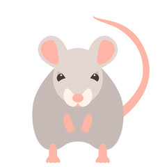  mouse   face head vector illustration flat style front