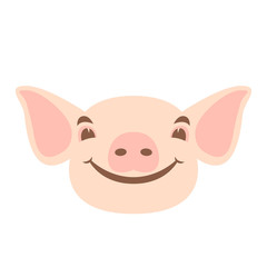 pig  face head vector illustration flat style front