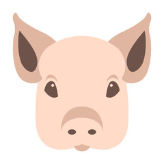 pig  face head vector illustration flat style front