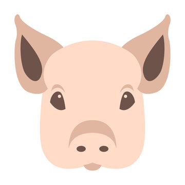 pig  face head vector illustration flat style front