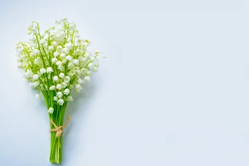 Photo sur Plexiglas Muguet Paysage de printemps. fleurs muguet