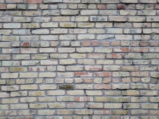 Brick Wall 