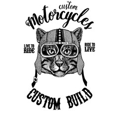 Wild cat Fishing cat Biker, motorcycle animal. Hand drawn image for tattoo, emblem, badge, logo, patch, t-shirt