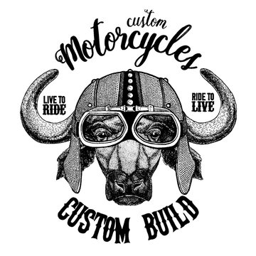 Buffalo, bull, ox Biker, motorcycle animal. Hand drawn image for tattoo, emblem, badge, logo, patch, t-shirt