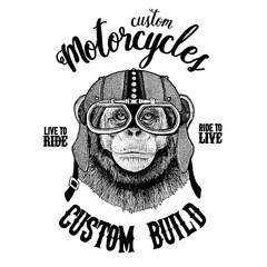Chimpanzee Monkey Biker, motorcycle animal. Hand drawn image for tattoo, emblem, badge, logo, patch, t-shirt
