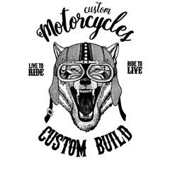 Wolf Dog Wild animal Biker, motorcycle animal. Hand drawn image for tattoo, emblem, badge, logo, patch, t-shirt
