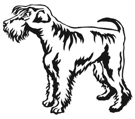 Decorative standing portrait of Schnauzer vector illustration