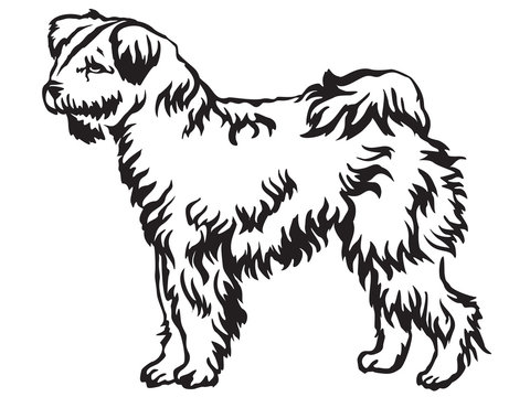 Decorative standing portrait of Pumi dog vector illustration