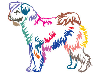 Obraz na płótnie Canvas Colorful decorative standing portrait of Pumi dog vector illustration