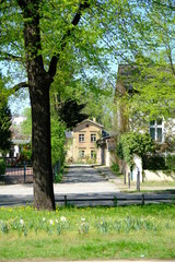 old house in potsdam