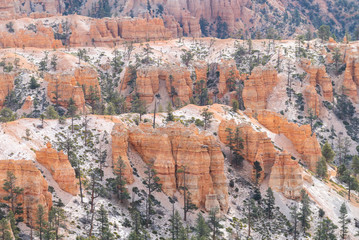 Landscape of Bryce Canyon National Park