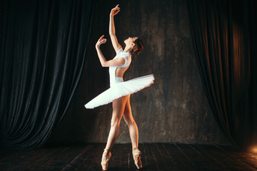 Graceful ballerina dancing in ballet class - obrazy, fototapety, plakaty