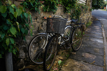  Vintage bicycle near a stone wall with ivy