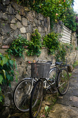 Fototapeta na wymiar Vintage bicycle near a stone wall with ivy
