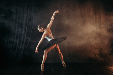 Naklejka na ściany i meble Ballerina in action, dance training on the stage