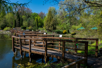 Arboretum w Bolestraszycach  © Pawel Gruntowicz