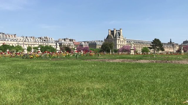 Pelouse du Jardin des Tuileries &agrave; Paris