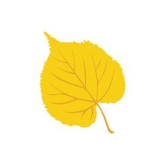 Autumn Leaf, Autumn Background