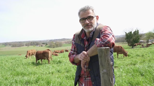 Farmer standing in field with cattle in background