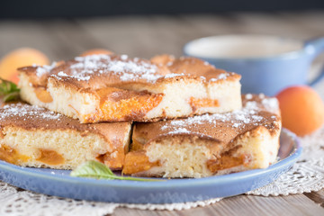 Marillenkuchen auf einem Keramikteller