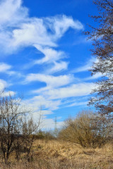 Fototapeta na wymiar Białe chmury na błękitnym niebie.