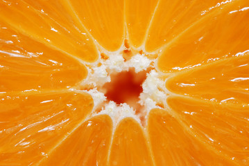 Ripe orange, small depth of field. Orange texture. Background