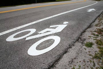 Fototapeta premium Bike Lane Symbol with Arrow Next to the Road in a Sunny Afternoon at Trade Winds Park, Pompano Beach, Florida