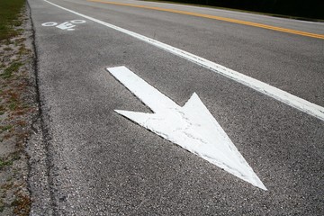 Bike Lane Symbol with Arrow Next to the Road in a Sunny Afternoon at Trade Winds Park, Pompano Beach, Florida