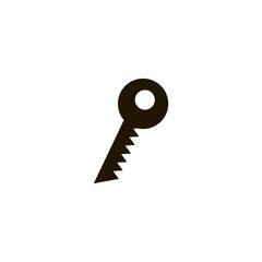 Key icon. flat design
