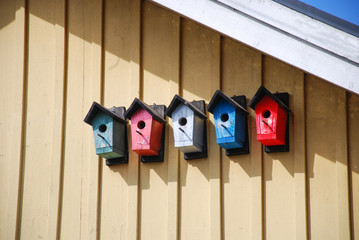 Cute bumblebee nests