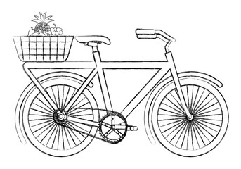 vintage bycicle with basket flowers vector illustration sketch