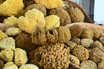 Alot of Natural sponge in basket in Souvenir shop in Greece