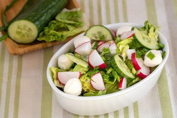 Fresh vegetable salad with lettuce, mozzarella cheese, radish, cucumber and chives