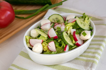 Fresh vegetable salad with lettuce, mozzarella cheese, radish, cucumber and chives