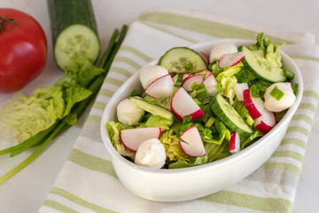 Fresh vegetable salad with lettuce, mozzarella cheese, radish, cucumber and chives