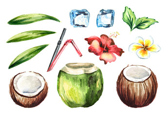 Tropical fresh coconut cocktail set with straws, mint, plumeria, hibiscus flower, ice cubes and green leaves. Watercolor hand drawn illustration  isolated on white background