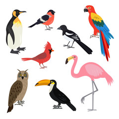 Naklejka premium Set of cartoon cute birds on white background.