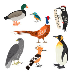 Naklejka premium Set of cartoon cute birds on white background.