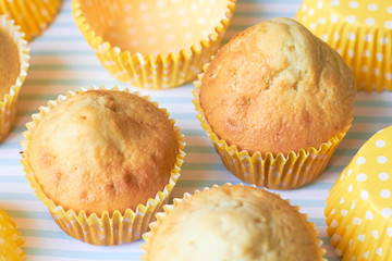 Cupcakes in yellow paper on a blue background.