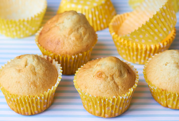 Cupcakes in yellow paper on a blue background.