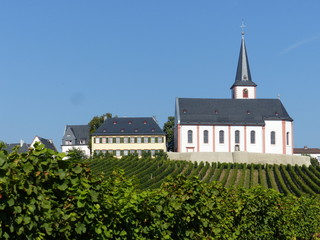 Fototapeta na wymiar Sankt-Peter-und-Paul-Kirche in Hochheim am Main