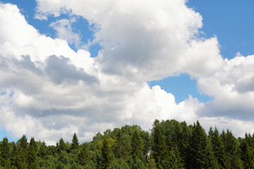 Green trees with clouds and blue sky landscape