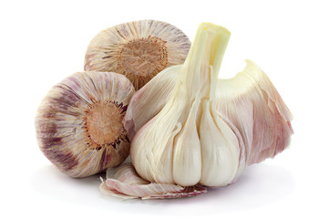 Young big garlic on white