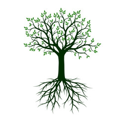 Green Tree with Roots. Vector Illustration.