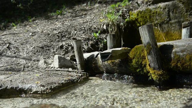 Source with clean water in the forest