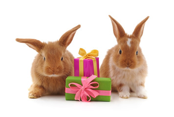 Two brown rabbits with gifts.
