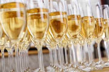 Rows of full champagne or sparkling wine glasses.