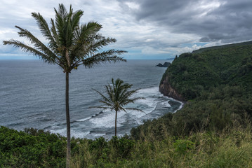 Fototapeta na wymiar Hawaiian coast with palm trees