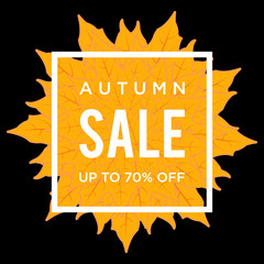 Autumn Sale, Autumn Background, Autumn Leaves, Autumn Leaf, Sale Banner