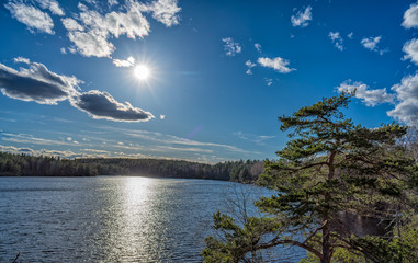 A forest lake in Tyresta National Park, Sweden
